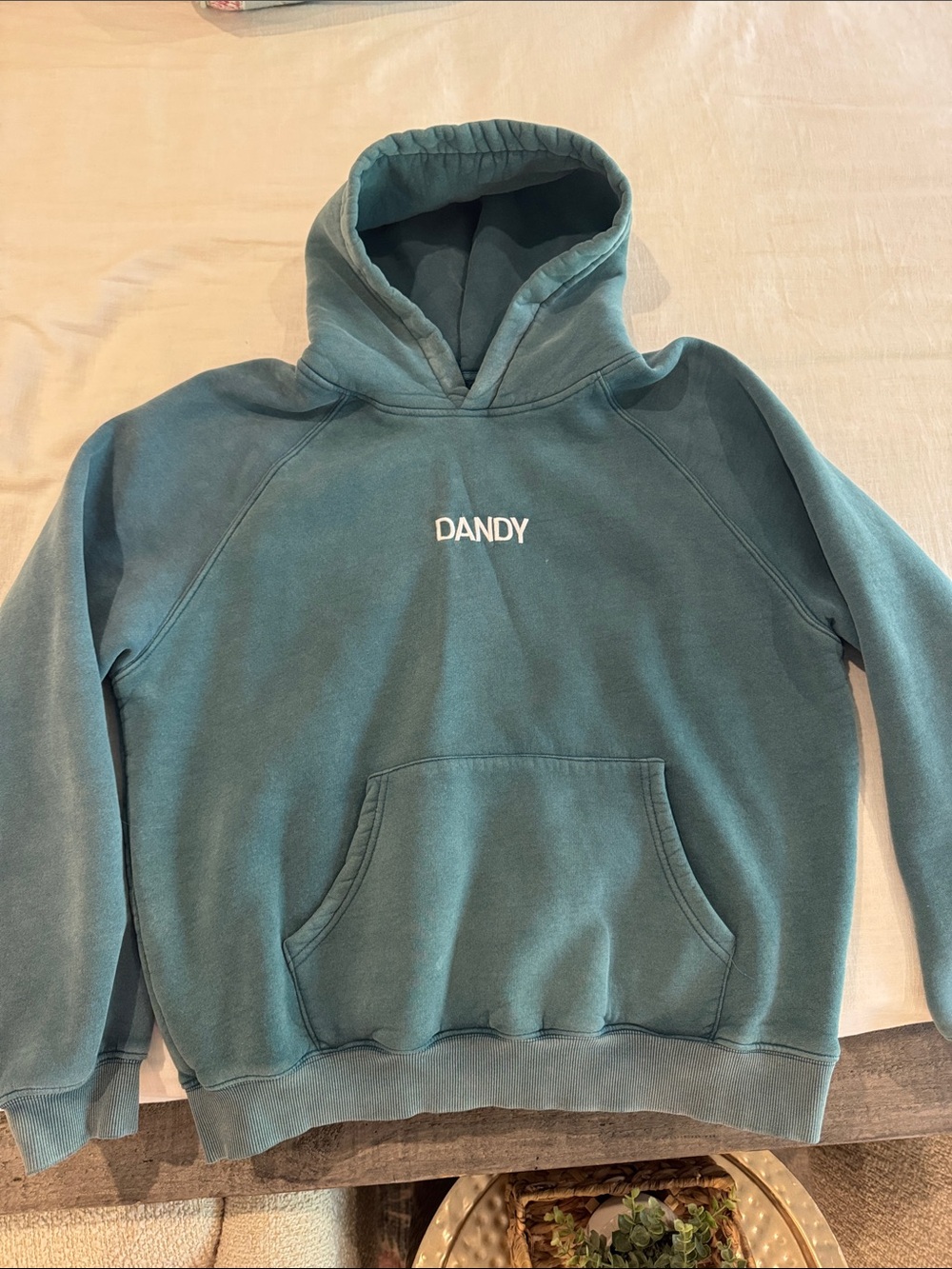 DANDY x Halle Embroidered Teal Hooded “Lets go on an adventure” Sweatshirt
